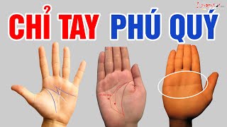 Xem Chỉ Tay