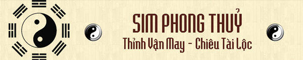 SIM PHONG THUỶ