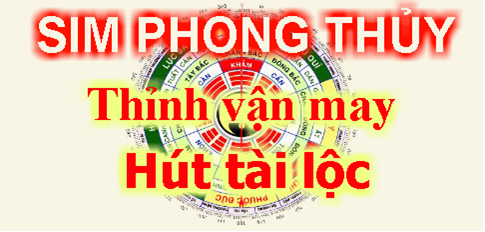 Ý nghĩa và lợi ích sim phong thuỷ